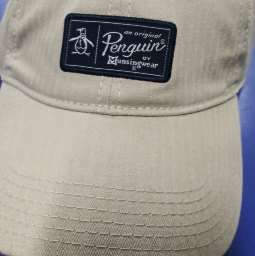 Penguin hat